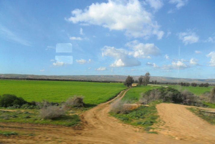 Périmètre agricole dans l’Oranais, au nord de l’Algérie. Photos : M. Naïli Périmètre agricole dans l’Oranais, au nord de l’Algérie. Photos : M. Naïli