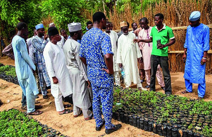 Un vulgarisateur agricole enseigne son savoir à des paysans à Sokoto dans le nord du Nigeria. Photo : Daouda Aliyou Un vulgarisateur agricole enseigne son savoir à des paysans à Sokoto dans le nord du Nigeria. Photo : Daouda Aliyou