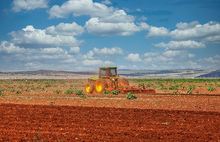 La SoNaMA déploie plus de 2200 machines, incluant des motoculteurs et des tracteurs de 112 CV, sur tout le territoire national. © Poco_bw/Adobe Stock La SoNaMA déploie plus de 2200 machines, incluant des motoculteurs et des tracteurs de 112 CV, sur tout le territoire national. © Poco_bw/Adobe Stock