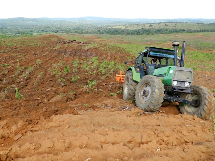La modernisation des fermes, comme ici au Cameroun, devrait permettre une augmentation de 3,5 % des rendements par an. Photo : A. Hervé La modernisation des fermes, comme ici au Cameroun, devrait permettre une augmentation de 3,5 % des rendements par an. Photo : A. Hervé