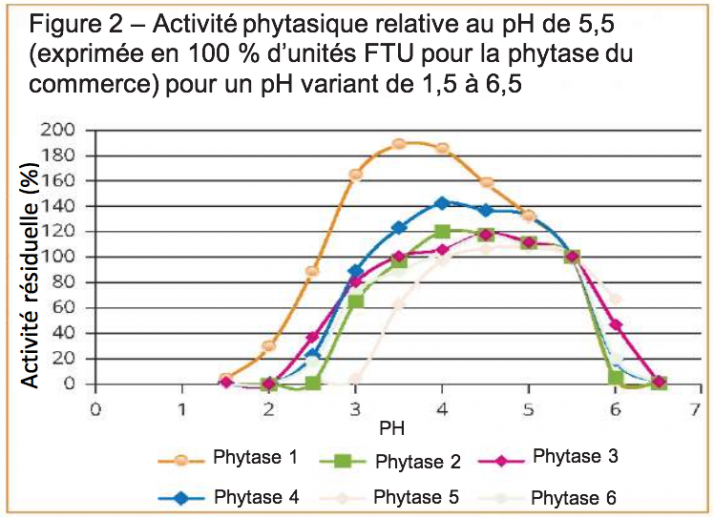 Activité phytasique Activité phytasique