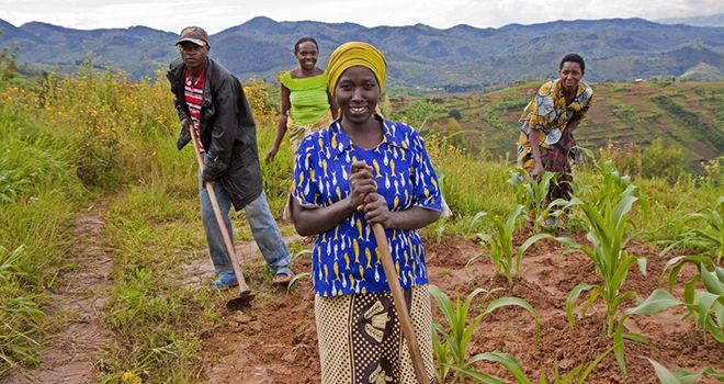 « La récolte annuelle de maïs par ménage dans la province de Namibe en Angola pourrait diminuer de 77 % d’ici 2050 », explique le Fida.