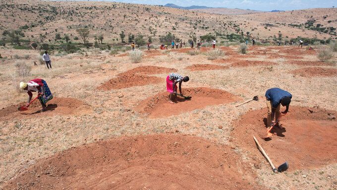 Restaurer nos terres est essentiel pour reculer la désertification et assurer un avenir prospère et durable. Photo : FAO/Edwin Mwai