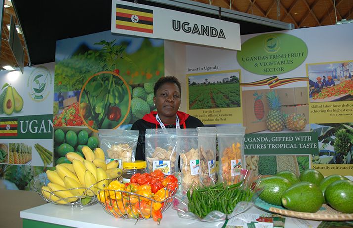 Le stand de l'Ouganda lors du dernier Macfrut en 2019. © Antoine Hervé Le stand de l'Ouganda lors du dernier Macfrut en 2019. © Antoine Hervé