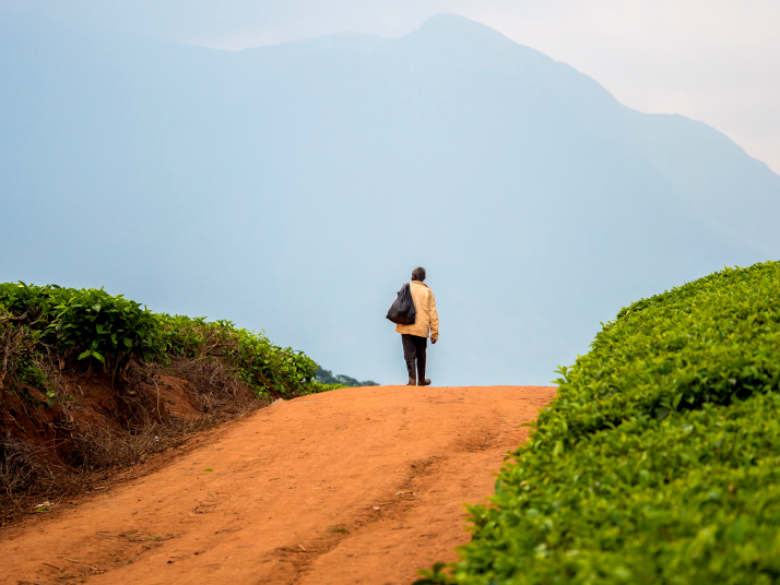 Les paysans africains savent cultiver leurs terres mieux que quiconque. © fotolia Les paysans africains savent cultiver leurs terres mieux que quiconque. © fotolia