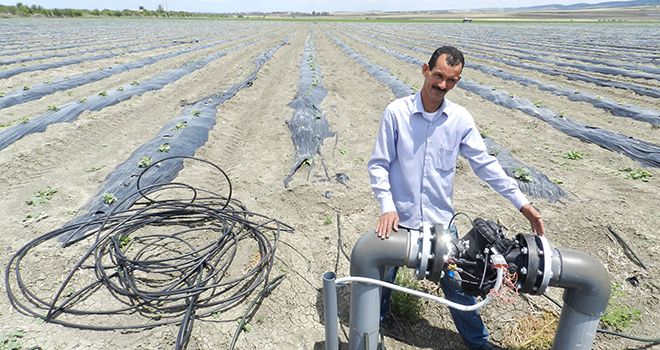 Le Fonds de développement agricole a permis la mise en place de 647 000 ha d’irrigation au goutte-à-goutte, comme ici près de Fès. Photo : Antoine Hervé 