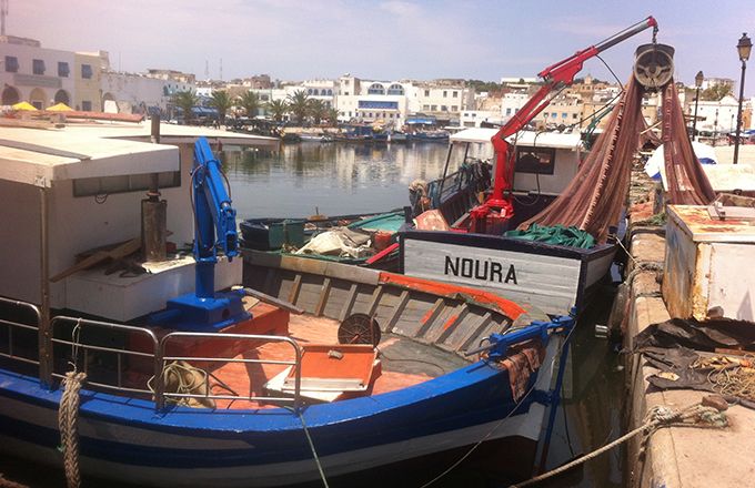 95 % de la production halieutique marocaine est assurée par 1800 bateaux de pêche côtière et 14000 barques artisanales, comme ici à Essaouira. Photo : Antoine Hervé 95 % de la production halieutique marocaine est assurée par 1800 bateaux de pêche côtière et 14000 barques artisanales, comme ici à Essaouira. Photo : Antoine Hervé