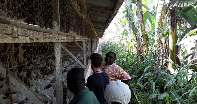 Élevage avicole au Cameroun. Ici, le docteur Jean Marcel Mandeng en visite technique avec des clients et Florian Allègre, responsable commercial Hubbard (photo datant de 2019 et prise avant la crise sanitaire due à la Covid-19). Photo : Hubbard. Élevage avicole au Cameroun. Ici, le docteur Jean Marcel Mandeng en visite technique avec des clients et Florian Allègre, responsable commercial Hubbard (photo datant de 2019 et prise avant la crise sanitaire due à la Covid-19). Photo : Hubbard.
