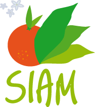 Siam 2019