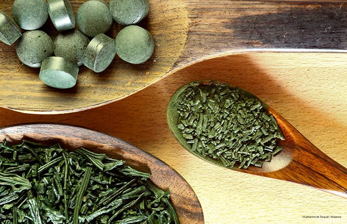 Spiruline sous forme de granulés, paillettes et palets. © Antenna France Spiruline sous forme de granulés, paillettes et palets. © Antenna France
