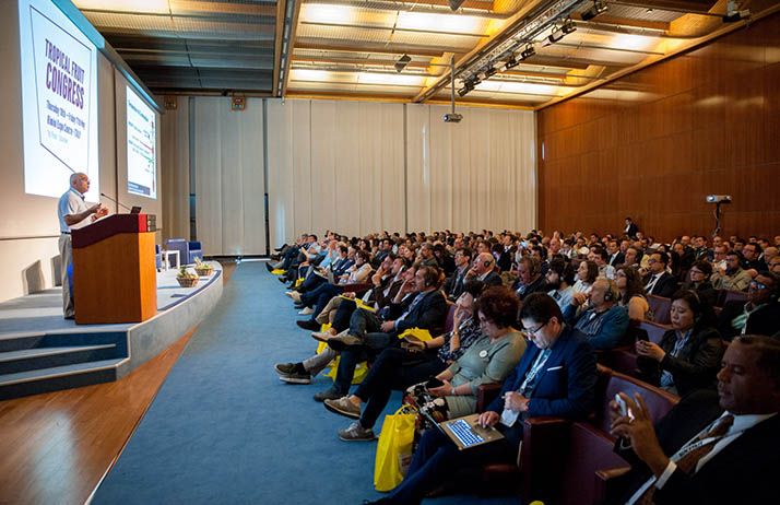 Le premier Tropical Fruit Congress a réuni plusieurs centaines de participants dont beaucoup d’Africains venus s’enquérir des dernières informations sur les filières mangue et avocat. Photo : MacFrut Le premier Tropical Fruit Congress a réuni plusieurs centaines de participants dont beaucoup d’Africains venus s’enquérir des dernières informations sur les filières mangue et avocat. Photo : MacFrut