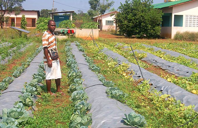 Les zones rurales sont transformées en pôles de développement économiques, comme ici à Kétou. Photo : G. C. Roko