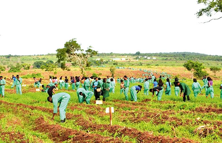 Les étudiants de Landmark University en plein travaux champêtres. Photo : D. Aliyou Les étudiants de Landmark University en plein travaux champêtres. Photo : D. Aliyou