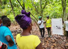 Les apprenants écoutent attentivement les instructeurs qui leur montrent les doses d’engrais et les techniques d’application appropriées pour les cacaoyers. © AfDB Projects