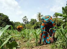 L’apport des Femmes pour une souveraineté alimentaire durable. © Riccardo Niels Mayer/Adobe Stock