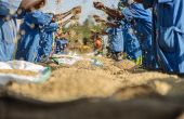 L’Afrique dispose des terres et de l’eau nécessaires pour "nourrir le monde", mais il faut libérer ce potentiel. © Yaroslav Astakhov/Adobe Stock