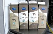 Les  packs de lait de chamelle d’un demi-litre sont vendues 10 dirhams, soit presque le double du lait de vache. Photo : François Brey